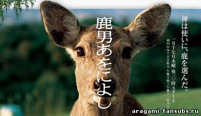 Shikaotoko Aoniyoshi